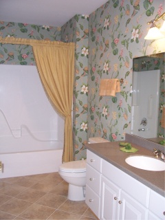 patio home hall bath